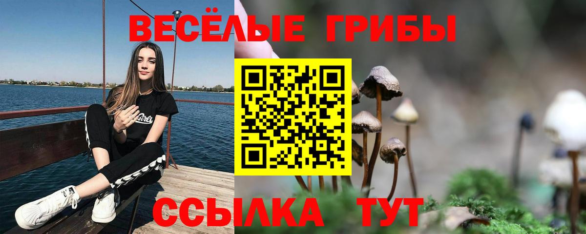 Шадринск  Псилоцибиновые грибы Cubensis  Вход с VPN 